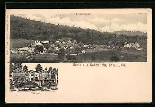 AK Rabenstein /Bayr. Wald, Pension, Totalansicht