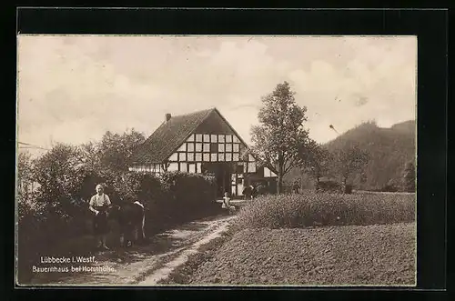 AK Lübbecke in Westfalen, Bauernhaus bei Horsthöhe