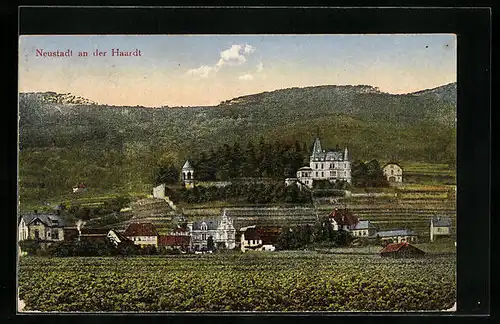 AK Neustadt a. d. Haardt, Ortsansicht aus der Vogelschau