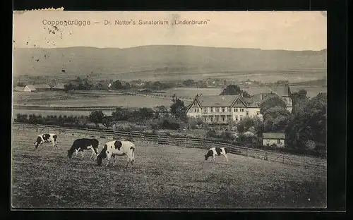 AK Coppenbrügge, Dr. Netter`s Sanatorium Lindenbrunn