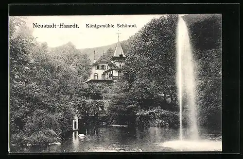 AK Neustadt /Haardt, Königsmühle Schöntal