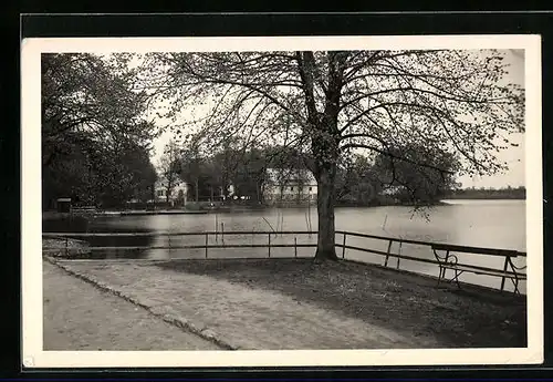 AK Lindow /Mark, Partie am Wutzsee