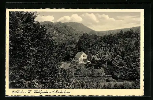 AK Lübbecke i. W., Waldpartie mit Försterhaus