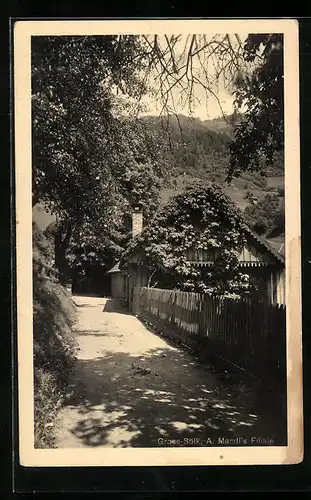 AK Gross-Sölk, A. Mandl`s Filiale