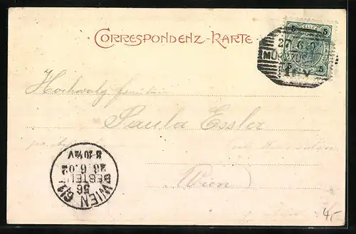 AK Mürzzuschlag, Totalansicht mit Schneealpe