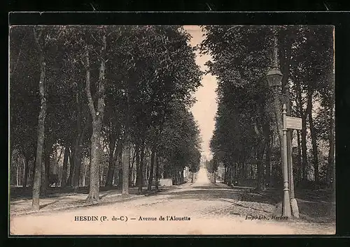 AK Hesdin, Avenue de l`Alouette