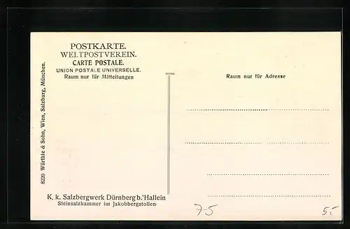 AK Dürnberg, Salzbergwerk - Steinsalzkammer im Jakobbergstollen