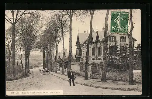 AK Senlis, Rue du Moulin Saint-Rieul, Les Villas