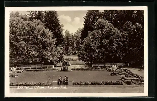 AK Polzin, Konzertplatz mit Wald