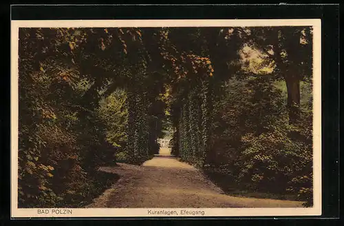 AK Polzin, Kuranlagen, Efeugang