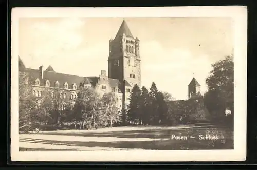 AK Posen / Poznan, Schloss mit Umgebung