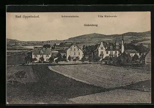 AK Bad Oppelsdorf, Ortspartie mit Schwesterheim, Villa Waldesruh und Gickelsberg