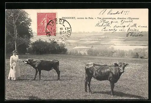 AK Frocourt, Vue panoramique