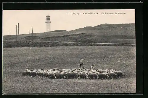 AK Cap Gris-Nez, Un Troupeau Moutons