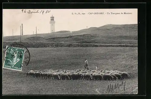 AK Cap Gris-Nez, Un Troupeau de Moutons