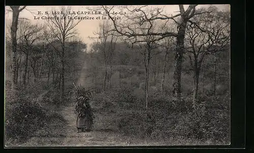 AK La Capelle, Le Chemin de la Carrière et la Foret