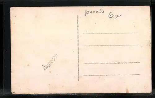 AK Bratislava, Panorama, Flusspartie mit Dampfer