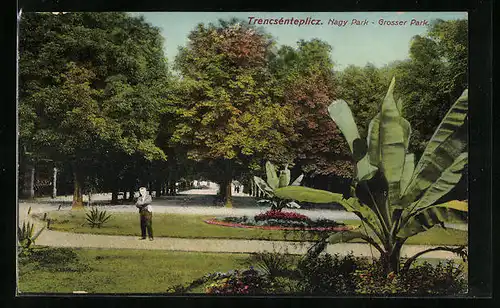 AK Trencsénteplicz, Nagy Park