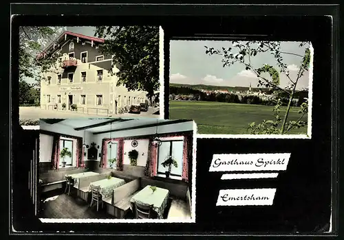 AK Emertsham, Gasthaus und Pension Spirkl, Ortsansicht
