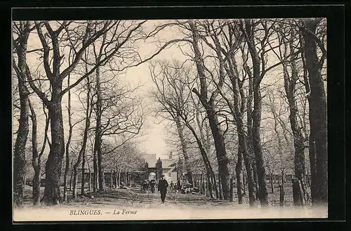 AK Blingues, La Ferme