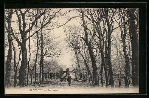 AK Blingues, La Ferme