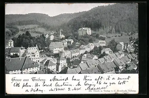 AK Triberg, Panorama