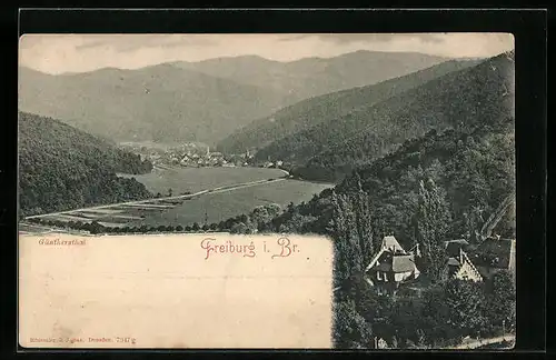 AK Freiburg i. Br., Blick ins Günthersthal