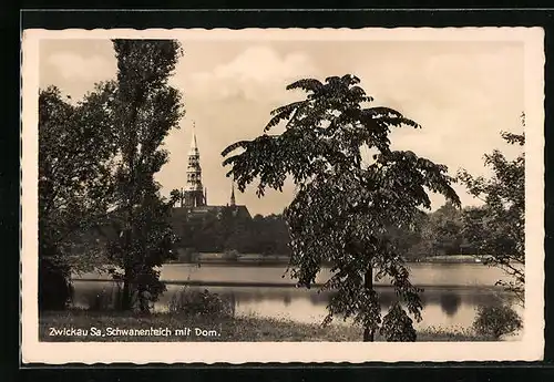 AK Zwickau Sa., Schwanenteich mit Dom