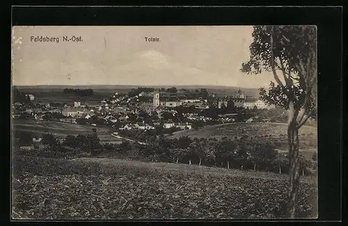 AK Feldsberg, Gesamtansicht