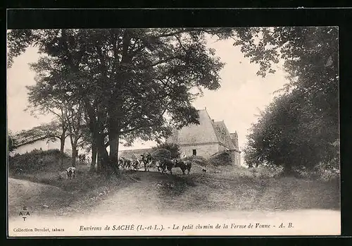 AK Sache, Le petit chemin de la ferme de Vonne