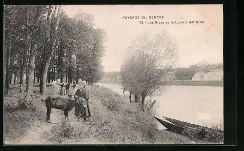 AK Amboise, Les Rives de la Loire, Paysage du Dentre