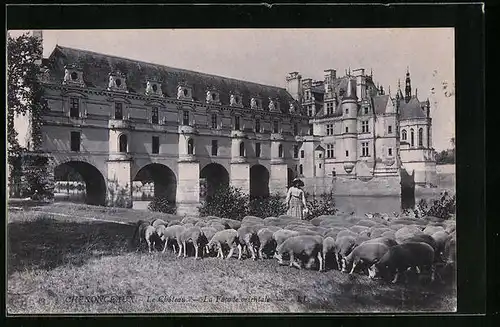 AK Chenonceaux, Le Chateau, la Facade Orientale