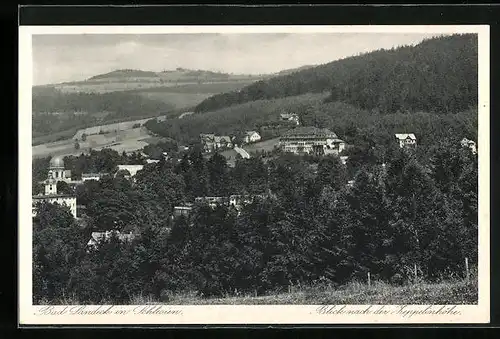 AK Bad Landeck in Schlesien, Blick nach der Zeppelinhöhe