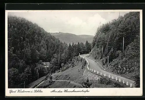 AK Bad Kudowa i. Schles., Partie an der Heuscherstrasse