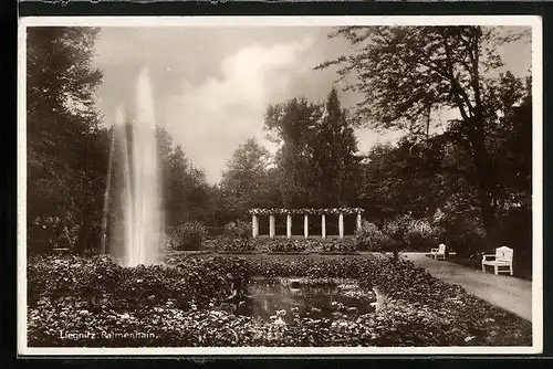 AK Liegnitz, Wasserspiel im Palmenhain