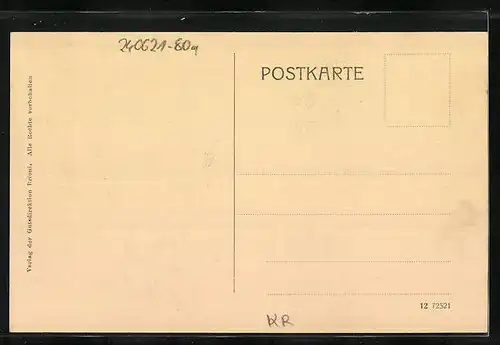 AK Insel Brioni, Landschaftspanorama