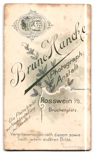 Fotografie Bruno Hancke, Rosswein i /S., Brückenplatz, Süsses Kleinkind im karierten Kleid