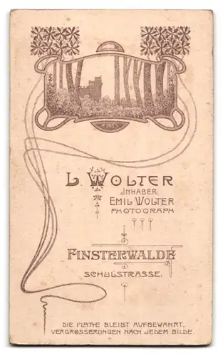 Fotografie L. Wolter, Finsterwalde, Schulstr., Junger Herr im Anzug mit Fliege