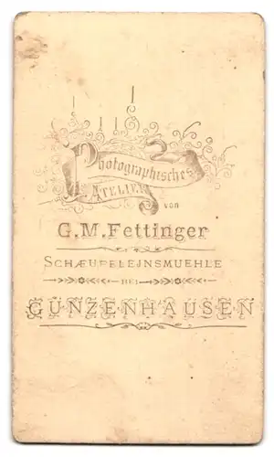 Fotografie G. M. Fettinger, Gunzenhausen, Portrait Mutter mit vier Kindern in Biedermeierkleidern, Mutterglück