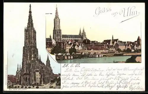 AK Ulm, Uferpartie mit Dom