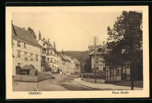 AK Triberg, Partie der Neue Strasse