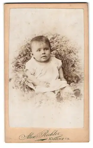 Fotografie Alex. Richter, Kamenz i /S., Süsses Kleinkind im Hemd sitzt auf Fell