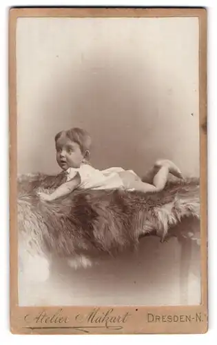 Fotografie Otto Wendt, Dresden-N., Bautznerstr. 29, Halbnacktes Kleinkind liegt auf Fell
