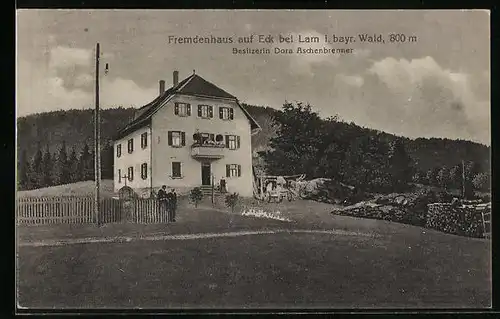 AK Lam /Bayr. Wald, Fremdenhaus auf Eck