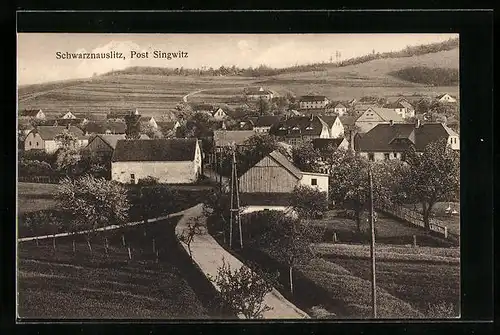 AK Schwarznauslitz, Teilansicht mit Strassenpartie