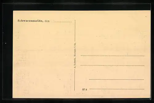 AK Schwarznauslitz, Teilansicht mit Strassenpartie
