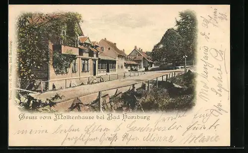 AK Bad Harzburg, Gasthof Molkenhaus