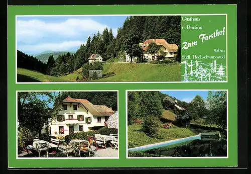 AK Häg, Gasthaus und Pension Zum Forsthof
