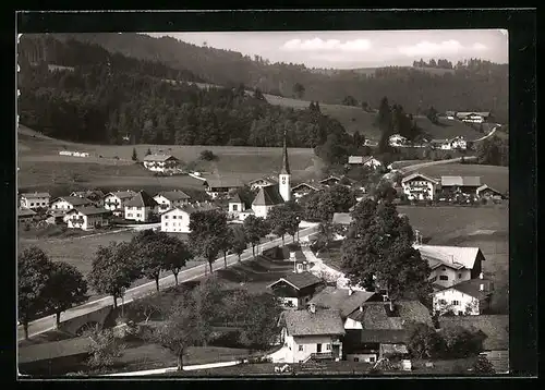 AK Hammer, Strassenpartie an der Deutschen Alpenstrasse