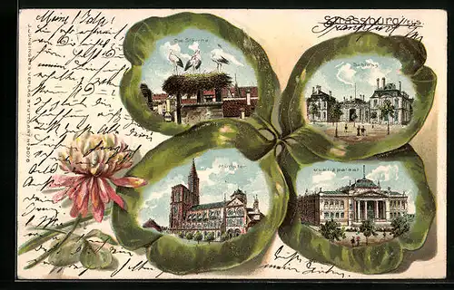 Lithographie Strassburg, Justizpalast, Münster, Storchennest, Kleeblatt